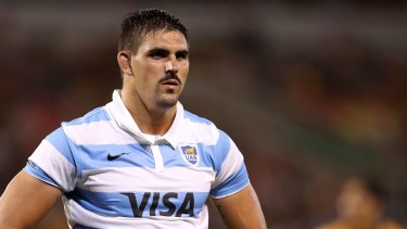 Pablo Matera, capitán del seleccionado, podrá ser de la partida ante Australia.