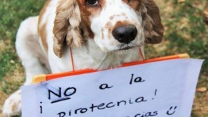Recordaron la prohibición de uso de pirotecnia en Huergo