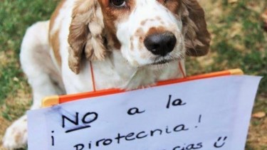 «Festejamos sin pirotecnia», una campaña que busca disminuir los estruendos en Roca