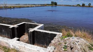 Siguen los problemas en una planta de cloacas de Roca