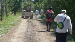 Crecen los contagios de covid en una chacra de Guerrico