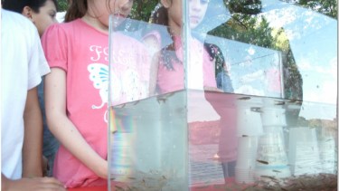 El lunes en Choele y Beltrán se realizará la siembra de truchas en el río Negro.