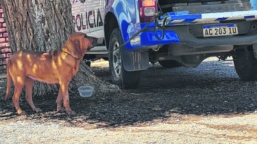 Sigue el misterio por el policía desaparecido en Cutral Co