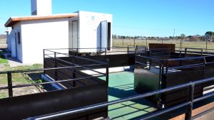 Jornadas incompletas en la  planta de faena de San Javier