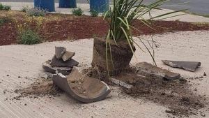 Nuevos hechos vandálicos en Neuquén: destrozaron maceteros y luminarias
