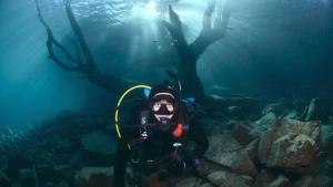 Asomate al bosque sumergido de Villa Traful