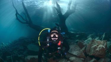 Buceo en el espectacular bosque sumergido de Villa Traful. Foto: Sergio Massaro.
