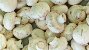 Tres ideas para cocinar hongos por Pedro Lambertini