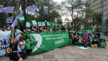 Los movimientos feministas se opusieron a la medida impuesta por la Justicia chaqueña.-