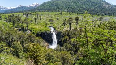 Cascada Coloco en Ñorquinco. Foto: Matías Cordero.