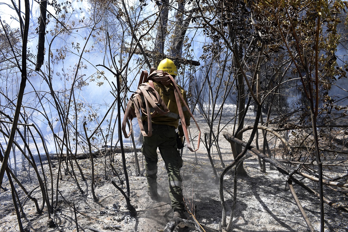 El fuego ya arrasó unas 11.000 hectáreas en Cuesta del Ternero, El Bolsón. Foto: Alfredo Leiva