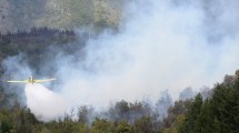 Imagen de Incendios forestales: uno de los sectores afectados en El Bolsón ya está contenido