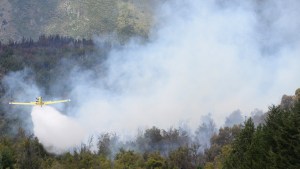 Incendios forestales: uno de los sectores afectados en El Bolsón ya está contenido