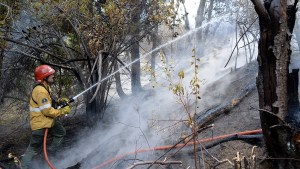 La cabeza del incendio forestal de El Bolsón avanzó hacia Chubut