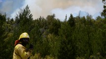 Imagen de El Bolsón: Carreras dijo que pedirá la pena máxima para el responsable del incendio
