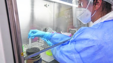 Replantearse los límites impuestos por los derechos de propiedad intelectual, al menos durante la pandemia, debiera ser un ejercicio a considerar. (Foto: Juan Thomes)