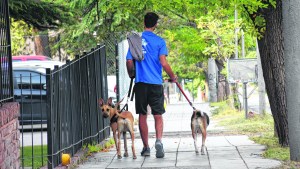 ¿Cómo preparar a nuestras mascotas para la vida post pandemia? 5 claves