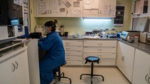 Siguen en alza los contagios de coronavirus en el país, que hoy sumó 13441 nuevos casos