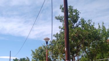 Los hechos se registran -y repiten- en zonas rurales de Roca y Cervantes. Foto: archivo