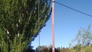 Movistar denunció el robo de más de 16 mil metros de cable en el Alto Valle