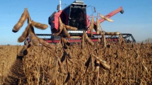 Retenciones: «Cuando el Gobierno niega una medida, solo la está anticipando», dijo Larreta