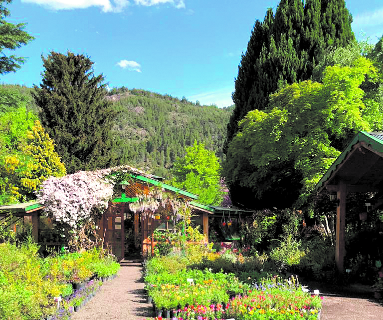 El frente del vivero, una postal hermosa y muy tradicional de San Martín de los Andes, sobre todo para quienes están interesados por la jardinería.