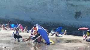 No se respeta la prohibición de llevar perros a la playa en la costa de Viedma