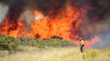 Imagen de Incendios consumieron más de 10.000 hectáreas en una parte de Río Negro
