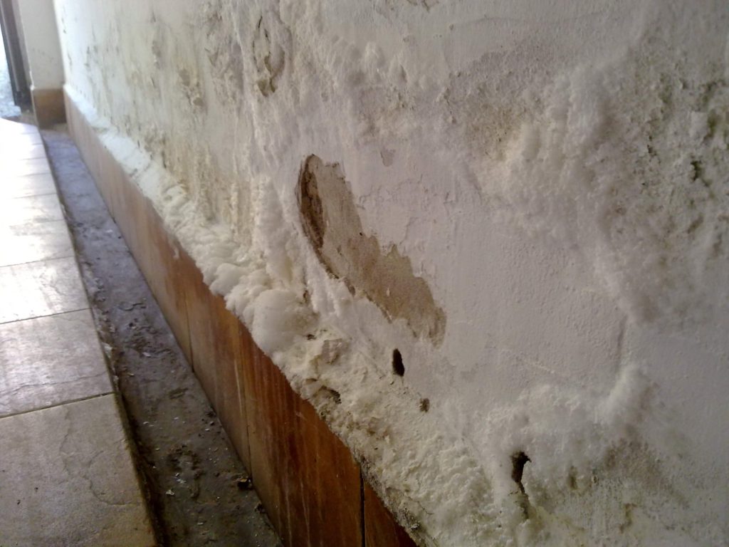 Cómo evitar la aparición de humedades y moho en paredes 