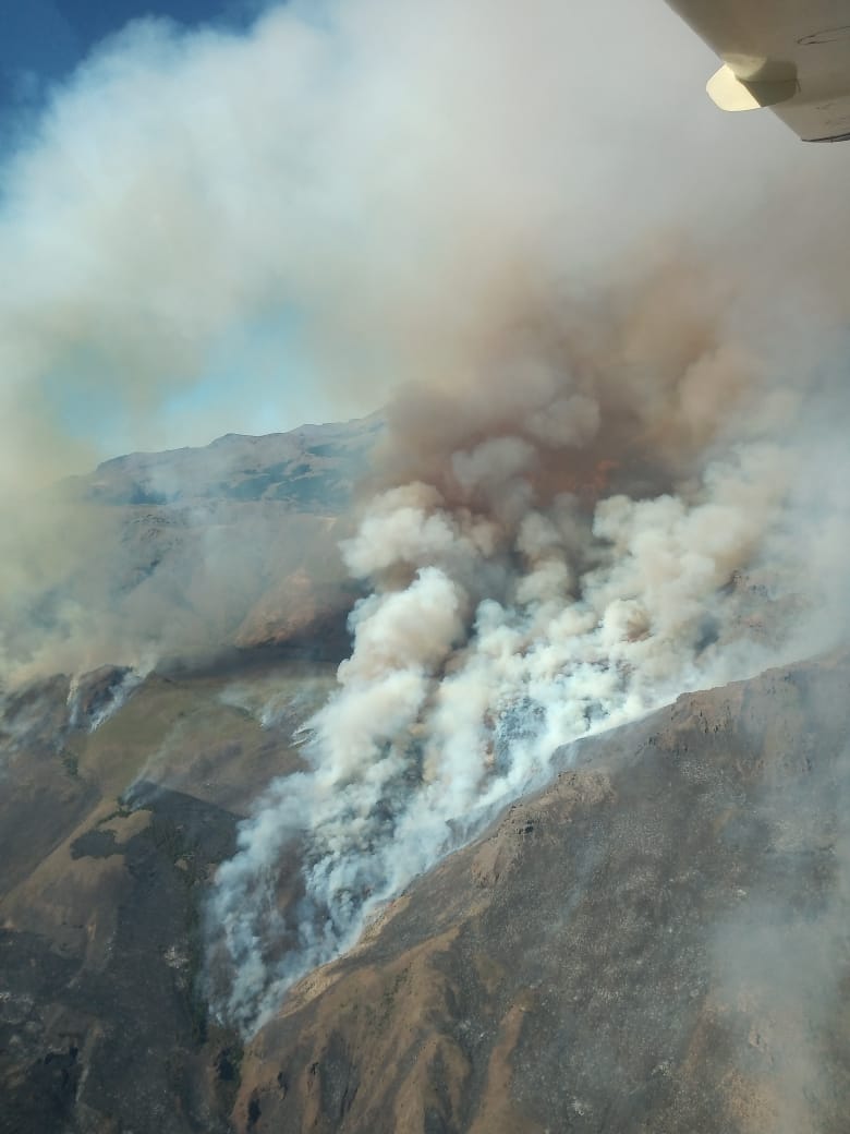 Las llamas devoraron en pocas horas casi el 70 por ciento del campo, que tiene unas 200 hectáreas. (foto Gentileza Splif)
