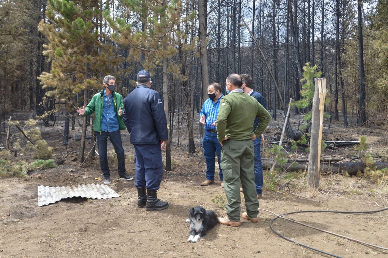 El fiscal jefe Martín Lozada recorrió el barrio El Mirador, donde se inició el incendio forestal. Foto: gentileza