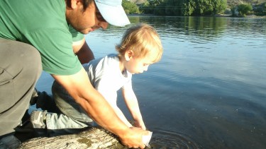 Liberarán en el río Negro 200 mil ejemplares de truchas Arco Iris. (Foto gentileza)