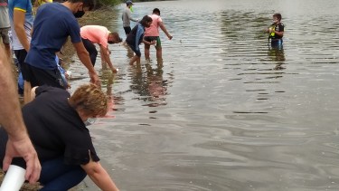 Siembra en pandemia. Foto: gentileza