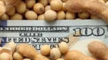 Imagen de Los dólares del campo vuelven a dar oxígeno al Gobierno