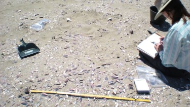 Paciencia. La arqueóloga Florencia Borella hace anotaciones de los hallazgos. Cada dato es clave para analizar y sacar conclusiones sobre la dinámica de las poblaciones del pasado en su relación con el entorno cambiante. 