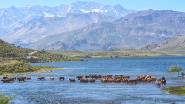 Fotos increíbles del norte neuquino para renovar las ganas de viajar