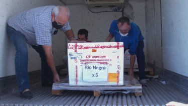 Después de traducir y analizar un documento de 200 páginas, la ANMAT habilitó el uso de la Sputnik para mayores de 60. Foto archivo: Pablo Leguizamon