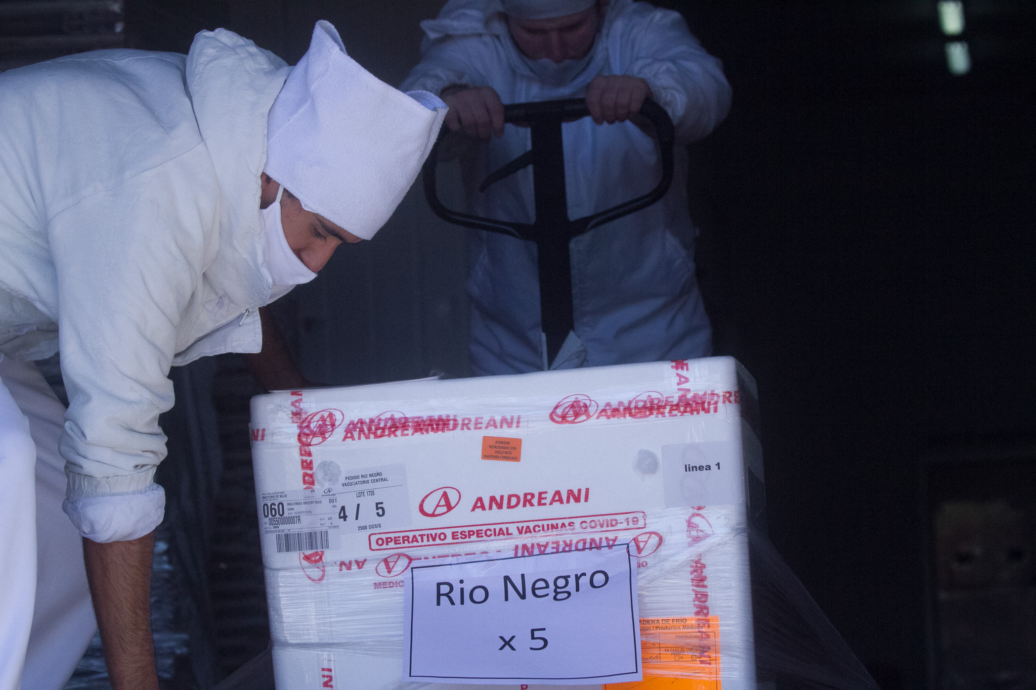 Este lunes llegó a Viedma el lote de vacunas. Fotos: Pablo Leguizamon