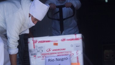 Este lunes llegó a Viedma el lote de vacunas. Fotos: Pablo Leguizamon