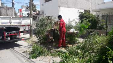 Las ráfagas en la capital neuquina alcanzaron los 80 kilómetros por hora. (Foto: gentileza)