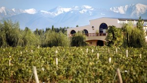 Por qué este vino argentino fue elegido Top 10 mundial de Wine Spectator