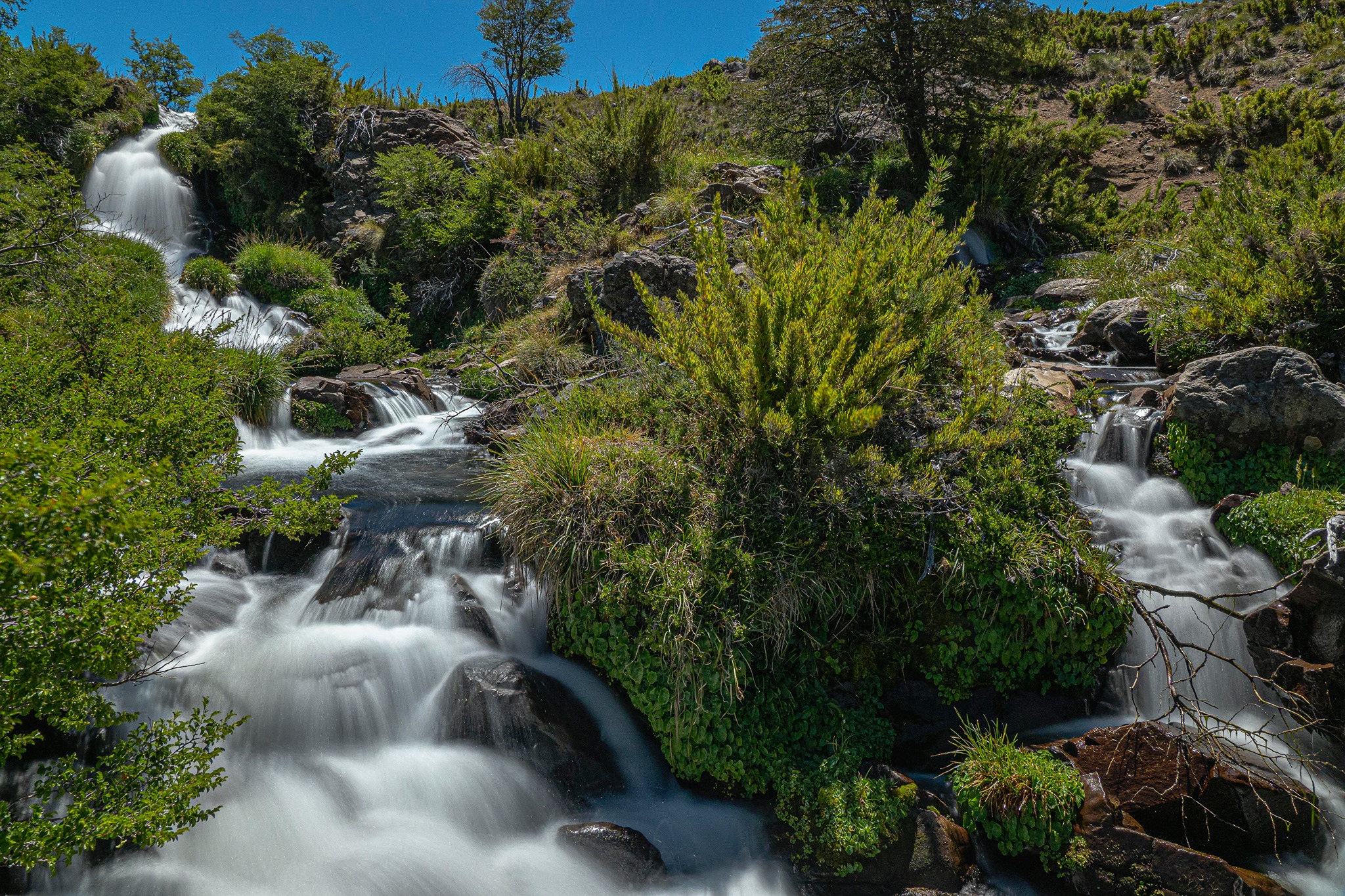 La cascada está camino a la laguna Vaca Lauquen. Unos tres km antes hay que desviarse unos 300 metros del camino y... mirar detrás de los ñires. Foto: Ricardo Kleine Samson. 