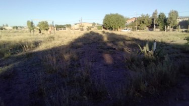 En la plaza de Centenario hay malezas de gran tamaño y juegos en mal estado. Foto: Gentileza Centenario Digital