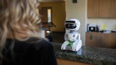 Robot de compañía: por la pandemia y para no sentirse solos, crecieron las ventas