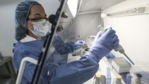 Coronavirus: se registraron otras 184 muertes y 6064 nuevos contagios en el país