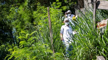 Rio de Janeiro suspenderá la vacunación en los próximos días. (Foto: AP)