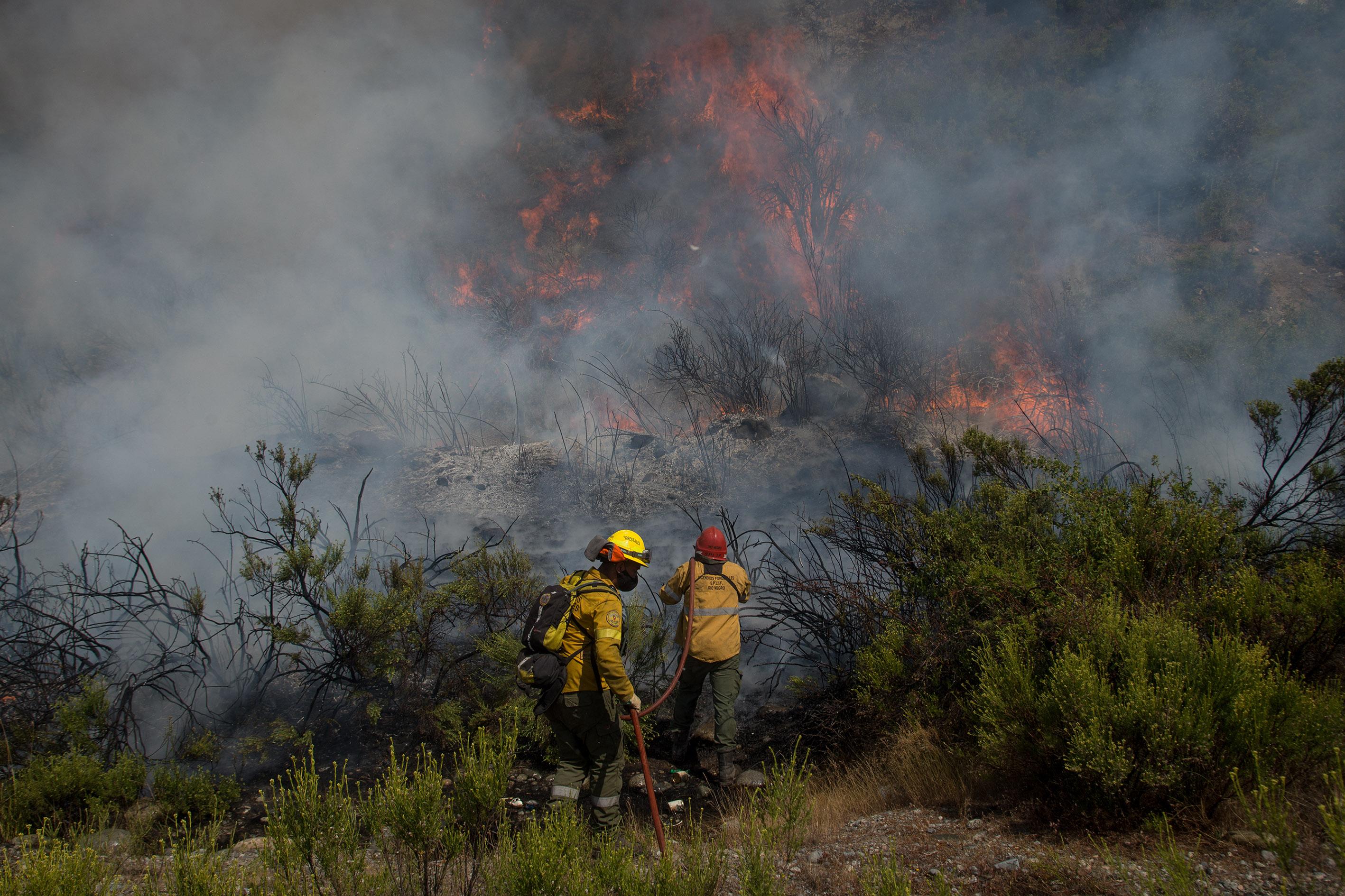 El incendio que se inició en Cuesta del Ternero sigue sin poder ser controlado y el calor no ayuda. Archivo