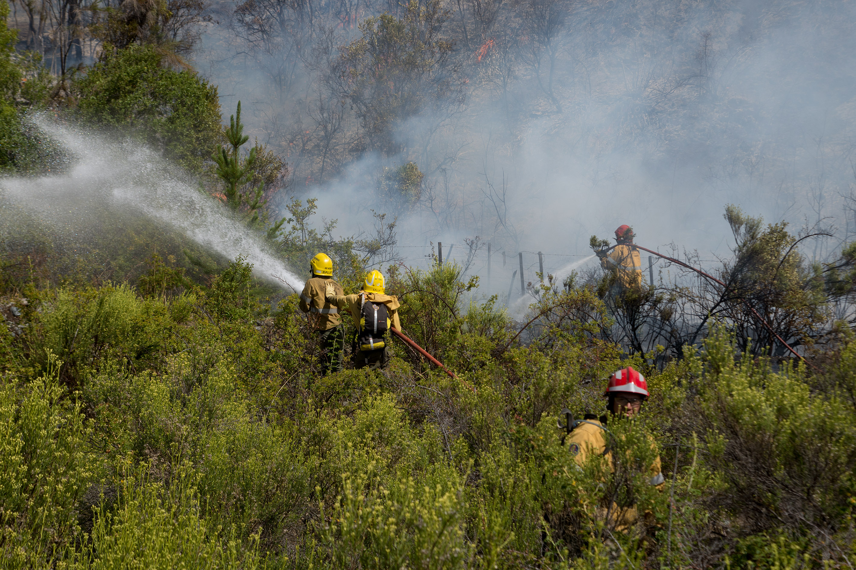 Piden refuerzos para hacer frente al incendio forestal en El Bolsón. Foto: Marcelo Martínez