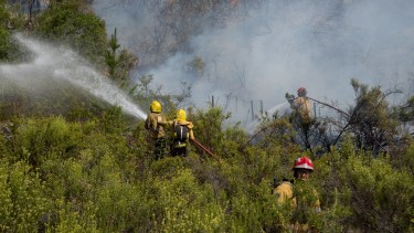 Piden refuerzos para hacer frente al incendio forestal en El Bolsón. Foto: Marcelo Martínez