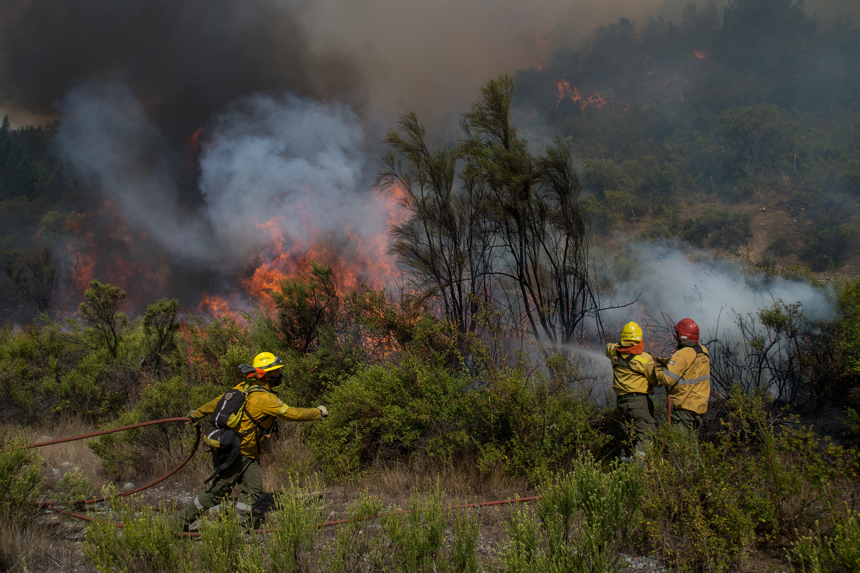El incendio arrasó 6.700 hectáreas. Foto: archivo